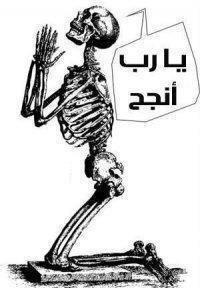 Mohamed ALmustafa