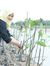 Dini Az...