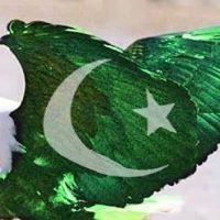 Qasim Sajjad