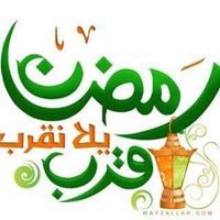 للفردوس شوقى