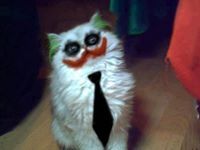 Edilio Lazaro Lazaro