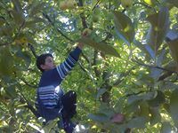 Димитар Угриновски