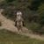 Emma De Kramer
