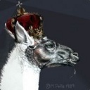 Llama Glama
