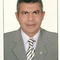 محمد محمد