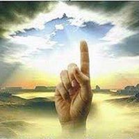 مستر زلنبور