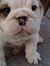 Abby