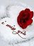 Javeed ...