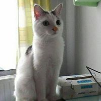 Ida Nusma