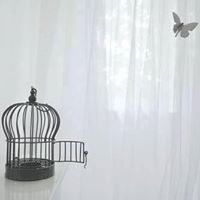 نسمات الامل