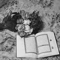 ريوش الابراهيمي