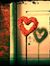 Amany M...