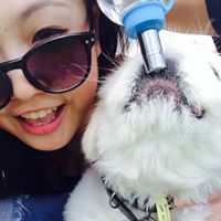 YingYing Chan