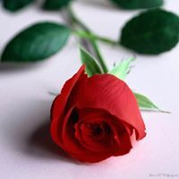 Aalaa Fouda