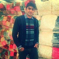 Sajid Bashir