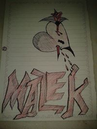 مالك الطباخي