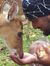 Rajan S...