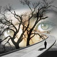 ممدوح الرشيدي