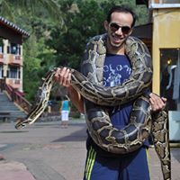 Ahmed ElAttal