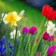 عبدالله الشمري