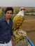 Arslan ...