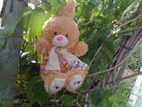 Deepthi Gvr