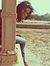 Mansi S...