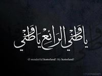 Mahmoud Msm