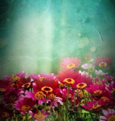 Bashayr Alzuwayyid