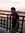 Rahul C...