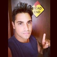 Оливковые Улисс