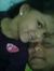 Brijesh...