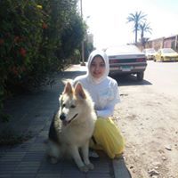 Yasmen Hamed