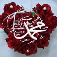 محمد المامون