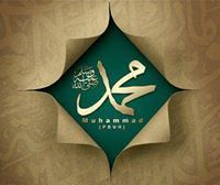 محمود أمين