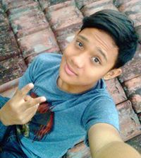 Hendi Gans