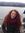 Dasha T...