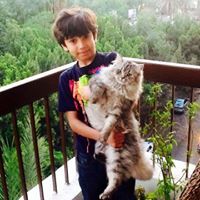 Amr Ali