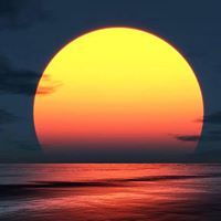 محمود حجازي