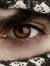 Ashraf ...