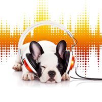 Gwyneth Grace E. Bernales