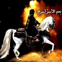 ذوالنون المسلم