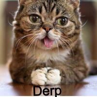 Minecraftier Babinec