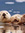 Seacat54 | 2 comments