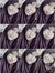 Farah N...