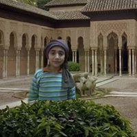 إبراهيم شلتوت