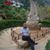 Khalid Abbas