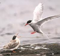 دروب المحبه