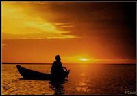 محمد علاءالدين