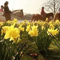 Andrea Macgregor-King